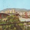 S-5019 BAIA MARE Cartierul Decebal CIRCULAT