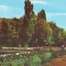 S-4949 BACAU Vedere din parc NECIRCULAT