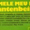 Max Frisch - Numele meu fie Gantenbein