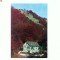 CP174-70 Cormaia.Cabana ,,Farmecul padurii&amp;quot; -circulata1974