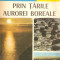 Prin tarile aurorei boreale - Dorin Iancu