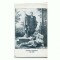 CP177-96 Andrei Muresanu(1816-1863) - tipar Abrud 1928