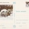 Intreg postal -Animale cu blana-hermina