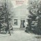 5527 Buzias Baia Phonix circulata 1917