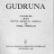 Gudruna - Talmacire ...