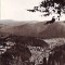 S12031 BORSEC Vedere generala CIRCULAT 1966