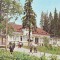 S12076 BORSEC CIRCULAT