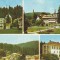 S12042 BORSEC CIRCULAT