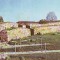 S12182 SARMIZEGETUSA Amfiteatrul roman NECIRCULAT