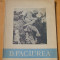 D. Paciurea album, text Carmen Răchițeanu, București 1956, 058