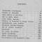 Silvian Iosifescu - Drumuri literare
