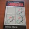 629 Francisc Pacurariu,Labirintul