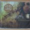 Alanis Morissette - Flavors Of Entanglement