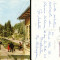 Carte postala ilustrata Vedere din Parc, Slanic Moldova