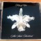 Kings Of Leon - Aha Shake Heartbreak