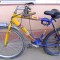 Bicicleta FIRST BIKE High Class
