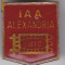 Insigna IAA Alexandria
