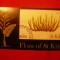 Colita stamp.speciala -Flora , 1969 St.Kilda Scotia
