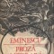 Proza literara