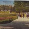 B8362 Slanic Moldova parcul oameni pe alee circulata