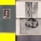 Carte pictura - Luchian-de Petru Comarnescu