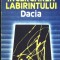 Incercarea labirintului