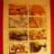 Bloc 8 val. stamp. - ANIMALE PREISTORICE 1980 - OMAN