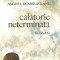 Calatorie neterminata