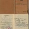 Carnet de munca , 1950 , Centrala M. A. T. , Bucuresti