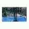 CP180-88 Balneario Los Camacho (Mexic)-necirculata