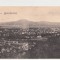 P Brasov necirculata
