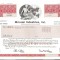 244 Actiuni -McLean Industries, Inc.-seria 02892