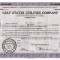 324 Actiuni -GULF STATES UTILITIES COMPANY-seria TNC16408