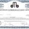 241 Actiuni MAGNUM COMMUNICATIONS CORP.-seria J 3347