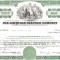 434 Actiuni - PAN AMERICAN SULPHUR COMPANY -seria NC296940