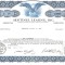 413 Actiuni -SENTINEL LEASING, INC.-seria JC 75