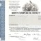 358 Actiuni -NORTH EUROPEAN OIL ROYALTY TRUST-seria SN13720