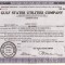 351 Actiuni -GULF STATES UTILITIES COMPANY-seria TNC18479