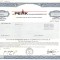 420 Actiuni -THE PEAK TECHNOLOGIES GROUP, INC. -seria PT 3294