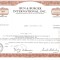 421 Actiuni -BUN&amp;amp;BURGER INTERNATIONAL, INC. -seria O 609