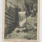 B11372 Valea Vinului Izvorul Bailor circulata 1939