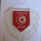 FANION CU STEAGUL TUNISIAN