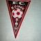 91 Fanion - F.C. SOIMII SIBIU