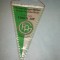 115 Fanion - FAG GOPPINGEN ( Germania)(handbal)