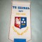 201 Fanion - TS HEJNAL -KETY 1921-2001 (POLONIA)