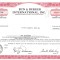 481 Actiuni - Bun &amp;amp; Burger International, Inc. -seria C 294