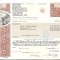 489 Actiuni -FIRST VIRGINIA BANKS, INC. -seria ZQ 000696