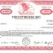 529 Actiuni -FAULTFINDERS INC. -seria NU-00530