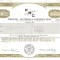 509 Actiuni -Phoenix Materials Corporation -seria S 1105