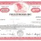 530 Actiuni -FAULTFINDERS INC. -seria NU-00519